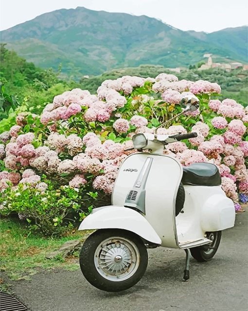 White Vespa Paint By Numbers