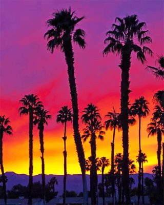 California Sunrise Paint By Numbers