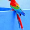 Colorful Parrot Paint By Numbers