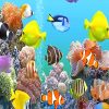 Colorful Fishes Paint By Numbers