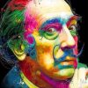 Colorful Dali Paint By Numbers