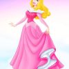 Disney Princess Aurora Paint By Numbers