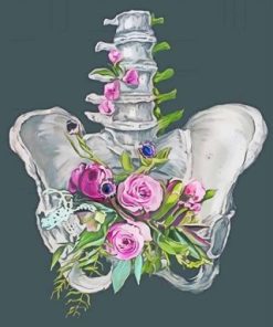 Floral Anatomy Paint By Numbers