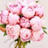 Flowers Bouquet Peony Paint By Numbers