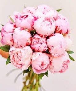 Flowers Bouquet Peony Paint By Numbers