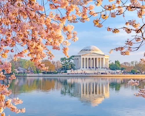 Jefferson Memorial Paint By Numbers