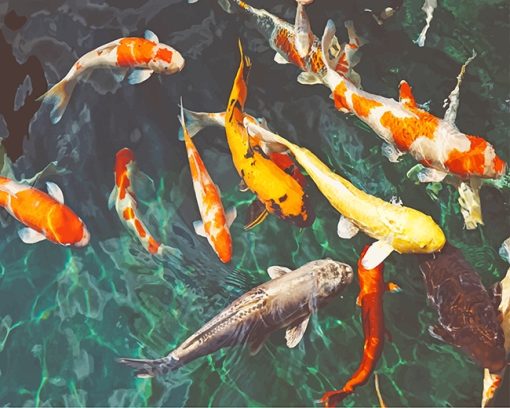 Orange Koi Paint By Numbers