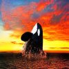 Orca Sunset Paint By Numbers