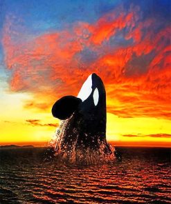 Orca Sunset Paint By Numbers