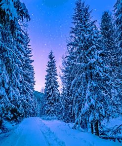 Trees With Snow Paint By Numbers