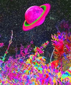 Trippy Planet Paint By Numbers