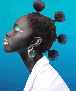 African Stylish Hair Paint By Numbers