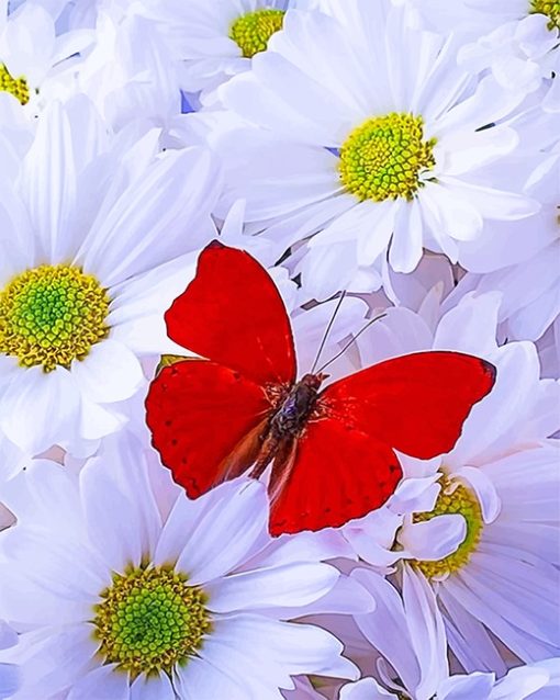 Red Butterfly Paint By Numbers