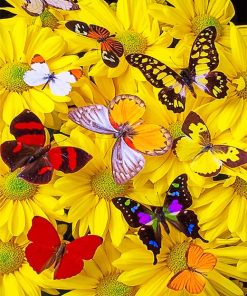 Butterflies And Flowers Paint By Numbers