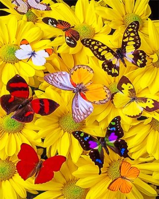 Butterflies And Flowers Paint By Numbers