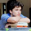 Classy Chalamet Paint By Numbers