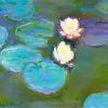 Waterlilies Paint By Numbers