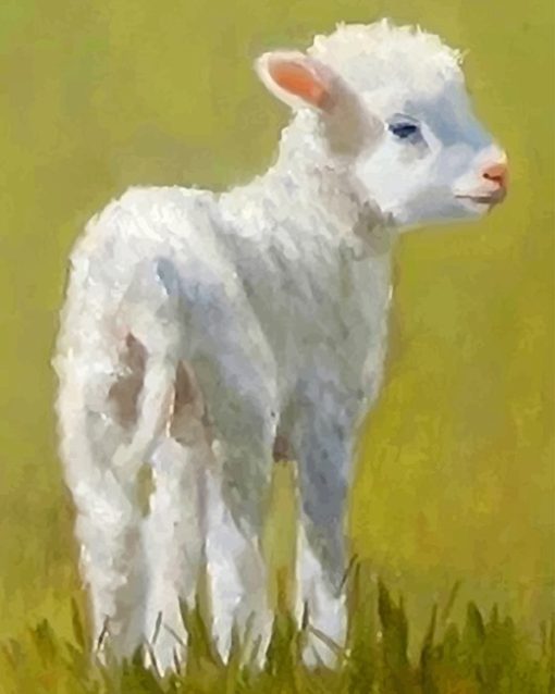 Cute Lamb Paint By Numbers