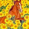 Horse Sunflowers Paint By Numbers