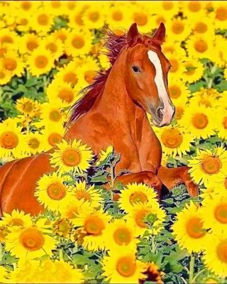 Horse Sunflowers Paint By Numbers