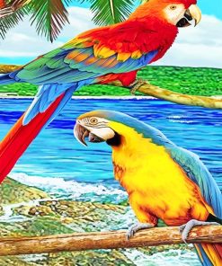 Parrots Paint By Numbers