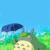 Totoro Anime Paint By Numbers