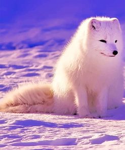 Lovely Arctic Fox Paint By Numbers