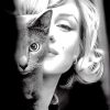 Marilyn Monroe With Cat Paint By Numbers