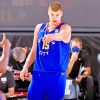 Nikola Jokic Paint By Numbers