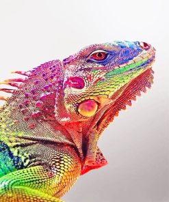 Rainbow Iguana Paint By Numbers