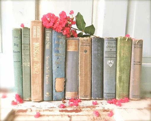 Vintage Books Paint By Numbers