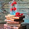 Books And Red Roses Paint By Numbers