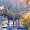 Wildlife Lake Moose Paint By Numbers