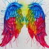 Rainbow Angel Wings paint by numbers