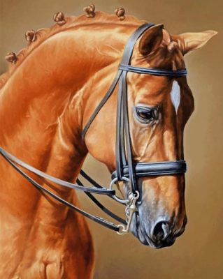 Brown Horse paint by numbers