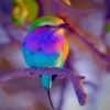 Colorful Bird paint by numbers