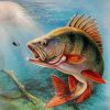 Largemouth Bass Fish Paint by numbers