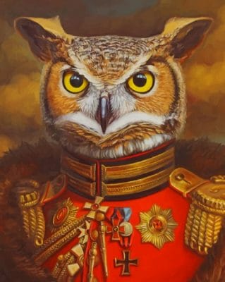 Mr Owl Paint by numbers