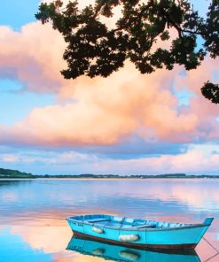 Wooden Old Boat In Lake paint by numbers