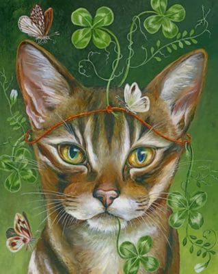 Cat And Butterfly paint by numbers