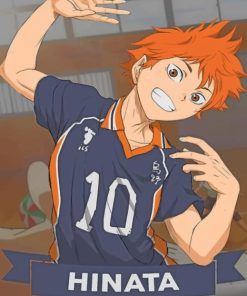 Hinata Haikyuu Paint by numbers