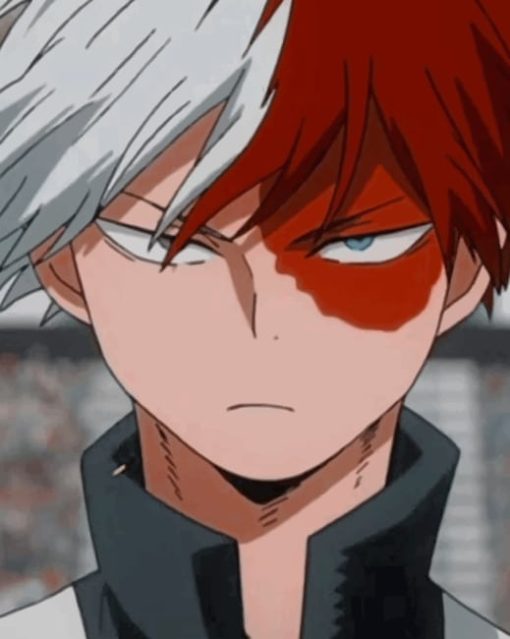 Shoto Todoroki Anime Paint by numbers