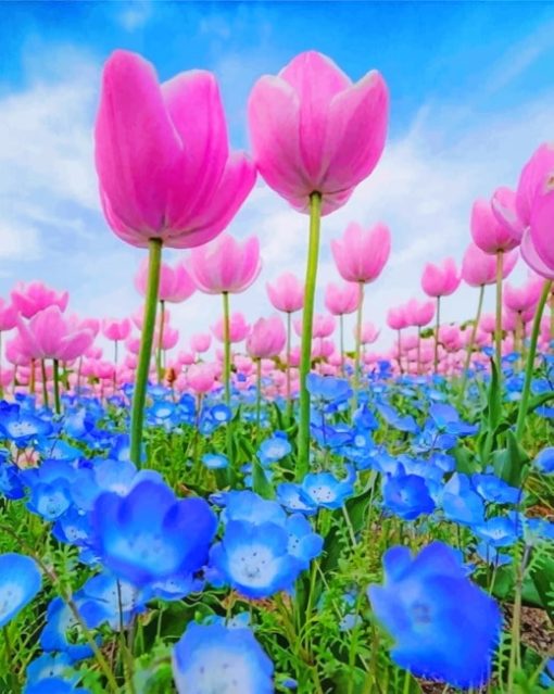 Blue And Pink Flowers Paint by numbers