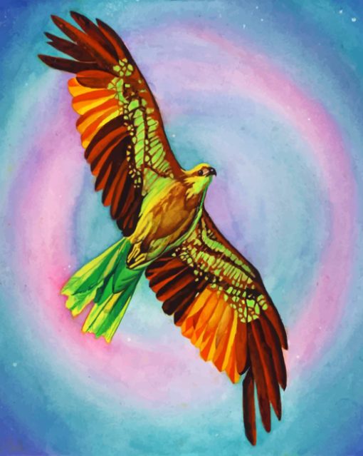 Colorful Hawk Bird paint by numbers