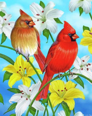 Cardinals Birds paint by numbers