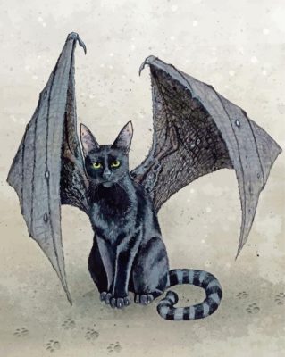 Bat Cat Paint by numbers