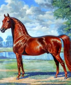 Brown Horse Paint by numbers