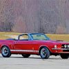 car-ford-1967-shelby-gt500-car-paint-by-number