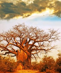 Oldest Baobab Tree Paint by numbers