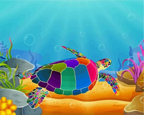 Colorful Turtle Paint by numbers